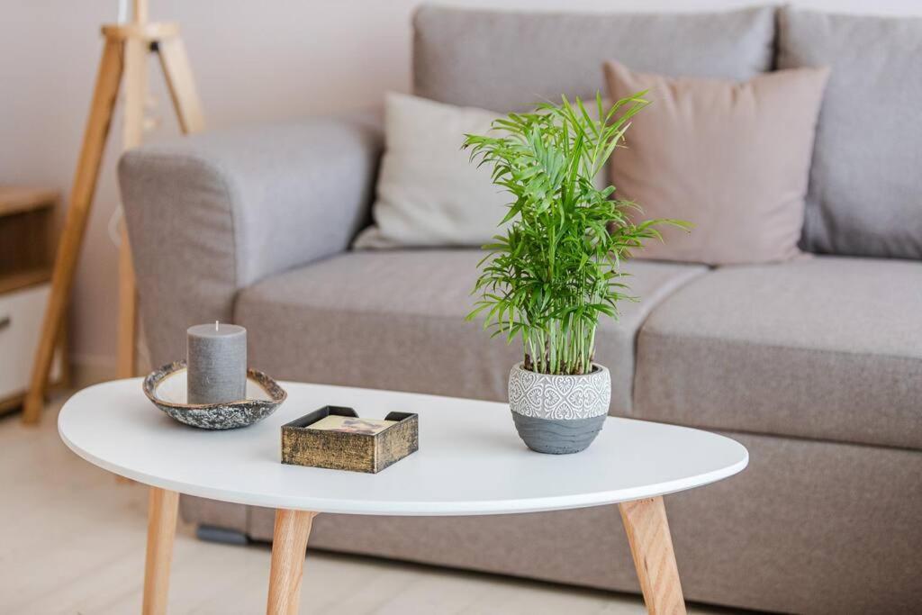 沃洛斯Cozy Seaside Penthouse With Sea & Mountain View.公寓 外观 照片