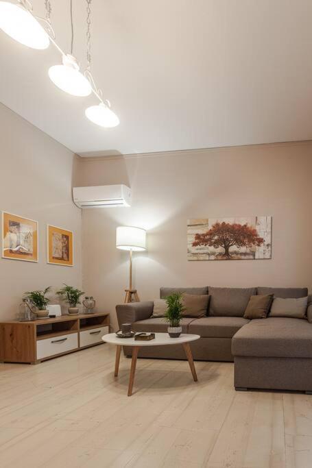 沃洛斯Cozy Seaside Penthouse With Sea & Mountain View.公寓 外观 照片